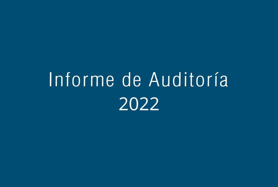 Informe de Auditoría 2022