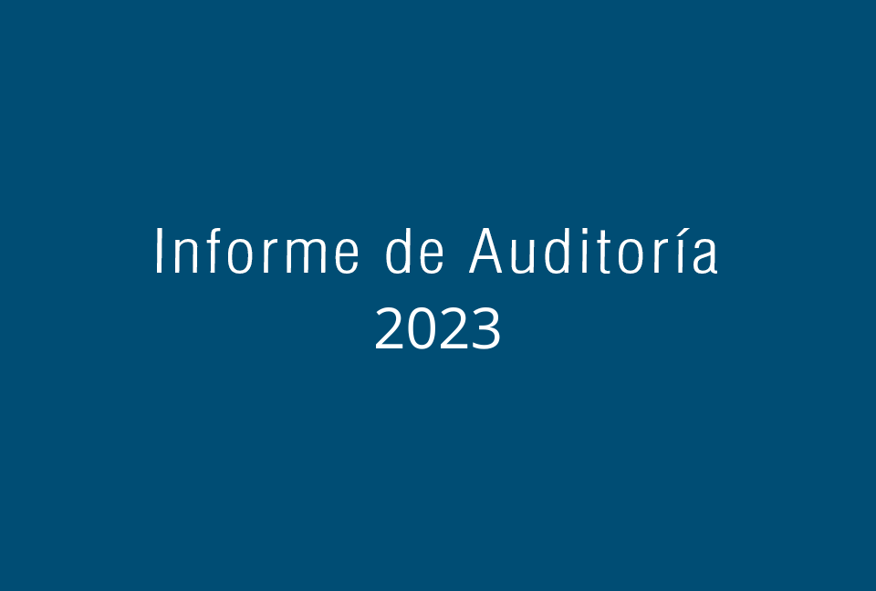Informe de Auditoría 2023
