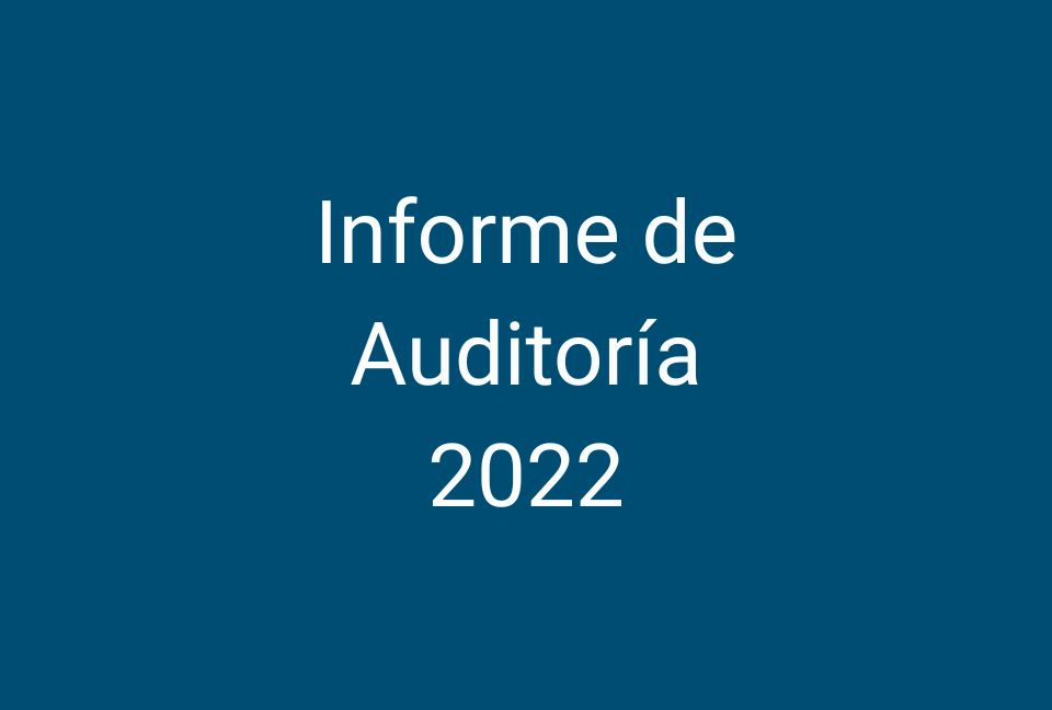 Informe de Auditoría 2022