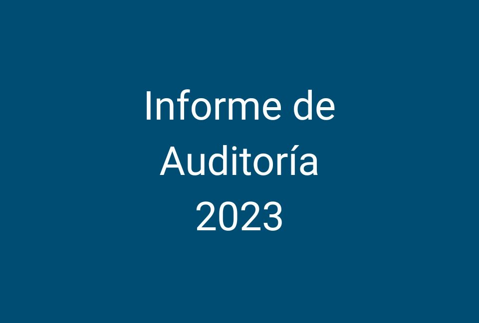 Informe de Auditoría 2023