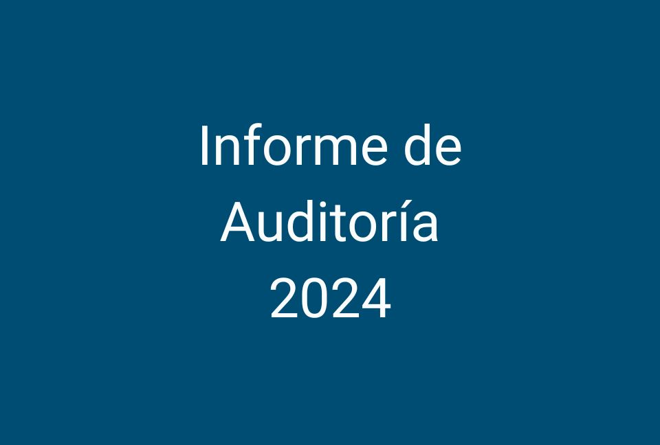 Informe de Auditoría 2024