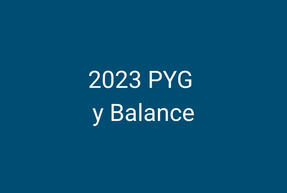 Balance y PyG  2020