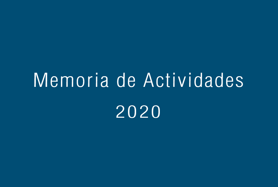 Memoria de Actividades 2020